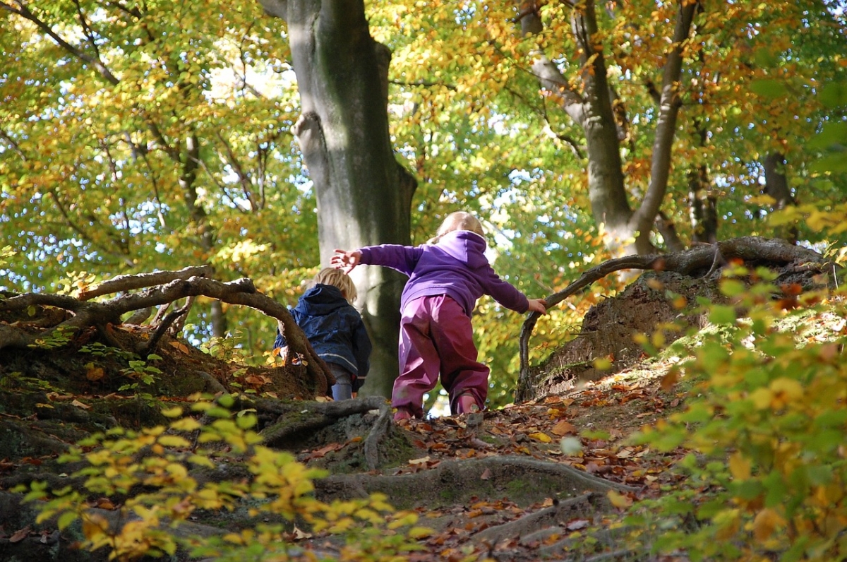 zwei Kinder klettern einen Abhang im Wald hinauf